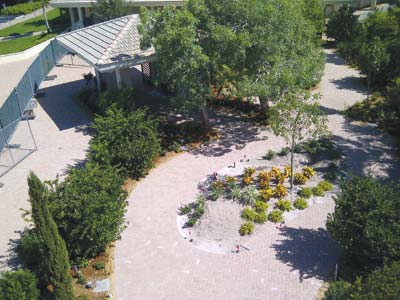 aerial prayer garden