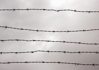 barbed wire