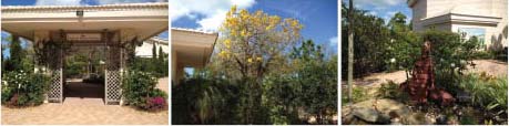 prayer garden flowering trees